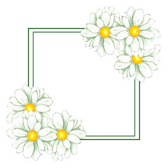 Hand drawn watercolor chamomile frame isolated on white background. Can be used for print, postcard, poster, decoration and other printed products.