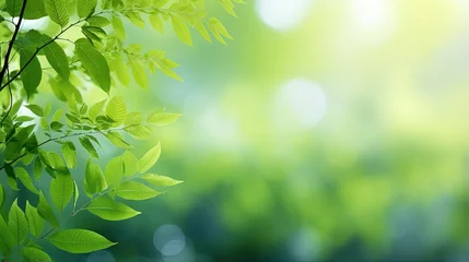 Poster Nature of green leaf in garden at summer. Natural green leaves plants using as spring background cover page greenery environment ecology wallpaper © HN Works