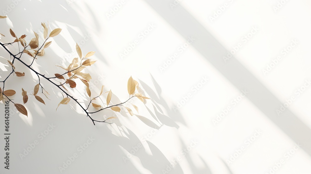 Poster light background with harsh shadows of tree branch. aesthetic white background with empty place. sum