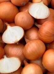 harvest organic onion. concept of organic vegetables