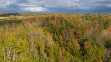 Aerial view of part of the Canadian forest in Quebec in the fall