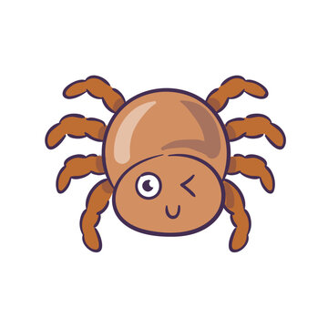 Cute Spider Illustration 