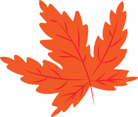 Maple leaf vector image