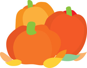Pumpkin thanksgiving day vector image or clip art