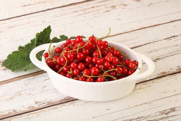 Ripe sweet organic red currant heap