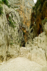 Lo spettacolare canyon della Gola del Gorropu nel Supramonte di Orgosolo. Provincia di Nuoro, Sardegna. Italia