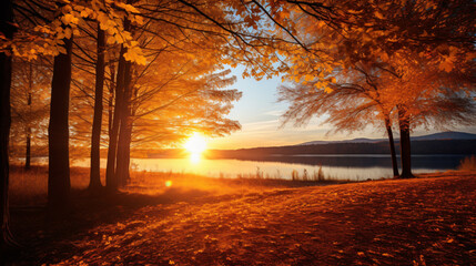 Golden autumn landscape