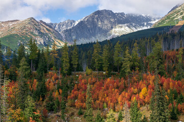 Autumn view from the area of Strbske Pleso in Slovakia.
