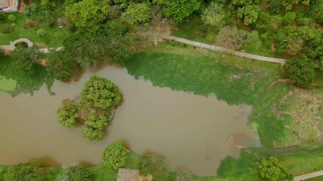 Parque Zeca Malavazzi com seu lago e vegeta&ccedil;&atilde;o. Vista a&eacute;rea da cidade de Paul&iacute;nia, no interior de S&atilde;o Paulo. Brasil. 