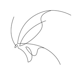 Obraz premium Butterfly Line Art Minimalist Logo. Thin line design element