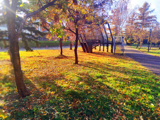 Sunny park in autumn with gazebo
