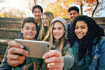 Selfie, youth or friends in park for social media, online post or profile picture in autumn or nature. Smile, teenage group of boys or happy gen z girls for fun holiday vacation photograph together