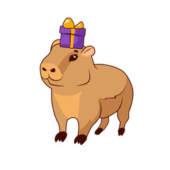 Cute baby capybara with a gift box on his head stands on a white background, isolate
