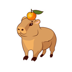 A cute baby capybara with a juicy fragrant orange on his head stands on a white background, isolate
