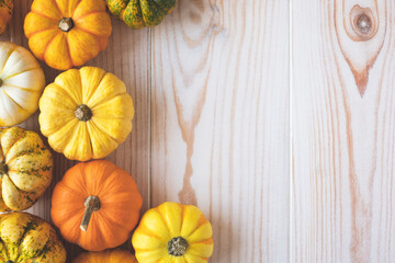 Cute colorful mini pumpkins on white wooden background, view from above, flat lay style. Autumnal composition for Halloween or Thanksgiving celebration. Negative space for your text.