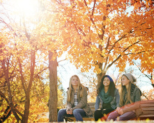 Girl, friends and conversation in a park, relax and bonding on autumn morning happy, holiday or hanging out. Youth, teenager and female group in a forest chilling, speaking or enjoy weekend in nature