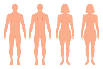 Silhouettes of male and female human body, back and front. Anatomy. Illustration, vector