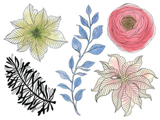 Traditional Christmas outline drawing illustrations of holly, mistletoe, Christmas tree, rose, bloom,blossom,foliage Christmas decoration elements.