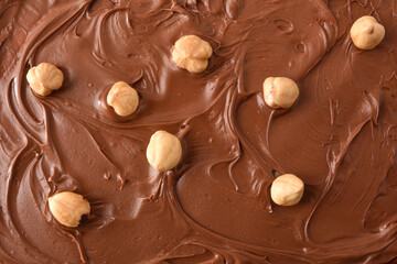 Cocoa cream texture with hazelnuts on top
