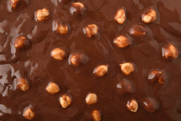 Cocoa cream texture with hazelnuts on top