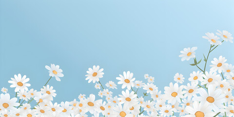 Daisy flower poster background with copy space