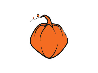 pumpkin flat icon vector , halooween pumpkin	
