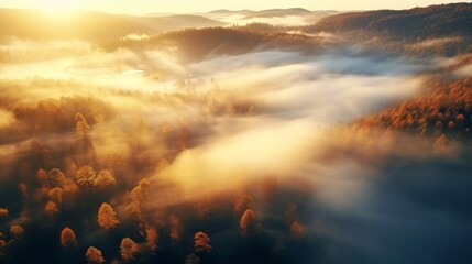 Obraz premium An aerial view of the forest with the sun behind the mist all around, colored autumnal trees in the morning light.