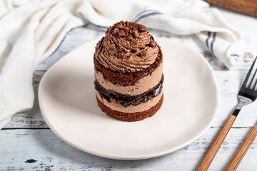 Chocolate and cocoa cake. Layer cake with fresh chocolate cream on a plate. Close up