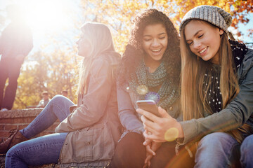 Phone, students or girl friends in park with smile for holiday vacation on funny social media post...