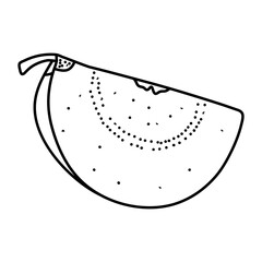 Linear Guava. Hand drawn Guava fruits isolated on white background. doodle style design for coloring book.