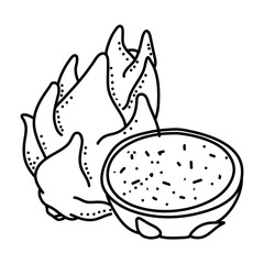 Dragon fruit doodle icon isolated on a white background. vector illustration