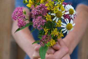 hands holding flowers