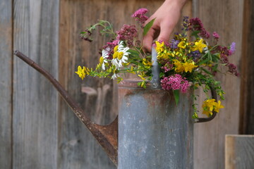 Flowers in a metal watering can, hand holding the watering can, wooden wall, birthday, 
