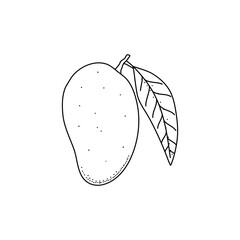 black and white fresh mango illustration with hand drawn or sketch style isolated on white background