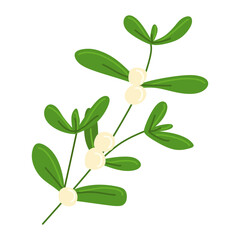 Mistletoe Branch Vector Flat illustration. Colorful Twig Composition Isolated On White Background. Cartoon style Floral element for Christmas decoration, Postcard template, Seasonal design.