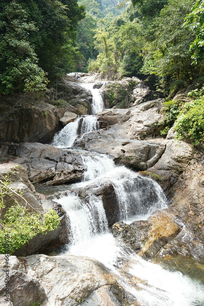 Wall mural waterfall in the forest