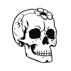 Human skull with flowers outlines design vector illustration isolated on a white background, Good for print, t-shirt, tattoo, etc.