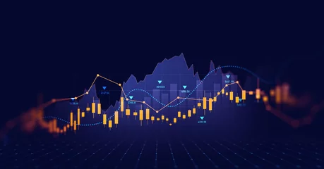 Foto op Canvas Digital financial chart indicators, stock market business and exchange financial growth graph.Development graph profit and investment.  © Miha Creative
