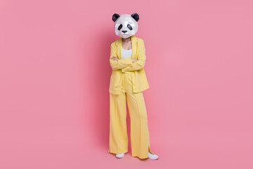 Full body photo of elegant classy costume lady crossed arms posing isolated on pink color background © deagreez