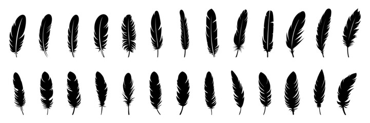 Feather Set icon, logo isolated on white background. Vector illustration - obrazy, fototapety, plakaty