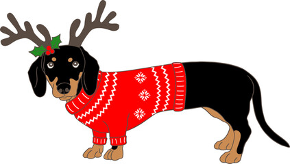 Christmas dachshund dog