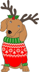 Christmas dachshund dog