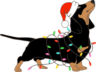 Christmas dachshund dog