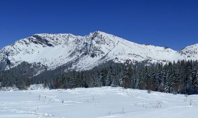 冬景色（Snow Scenery）- 山（Mountain）
