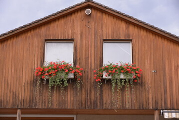 Fototapeta na wymiar Flowers on the window of a wooden house