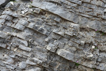 The old rough stone floor is the background