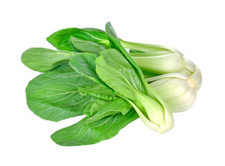 Bok choy (chinese cabbage) transparent png - obrazy, fototapety, plakaty