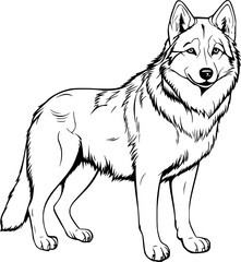 Wolf Hand Drawn Realistic Detailed Coloring Book Animal Illustrations