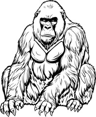 Gorilla Hand Drawn Realistic Detailed Coloring Book Animal Illustrations