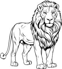 Lion Hand Drawn Realistic Detailed Coloring Book Animal Illustrations